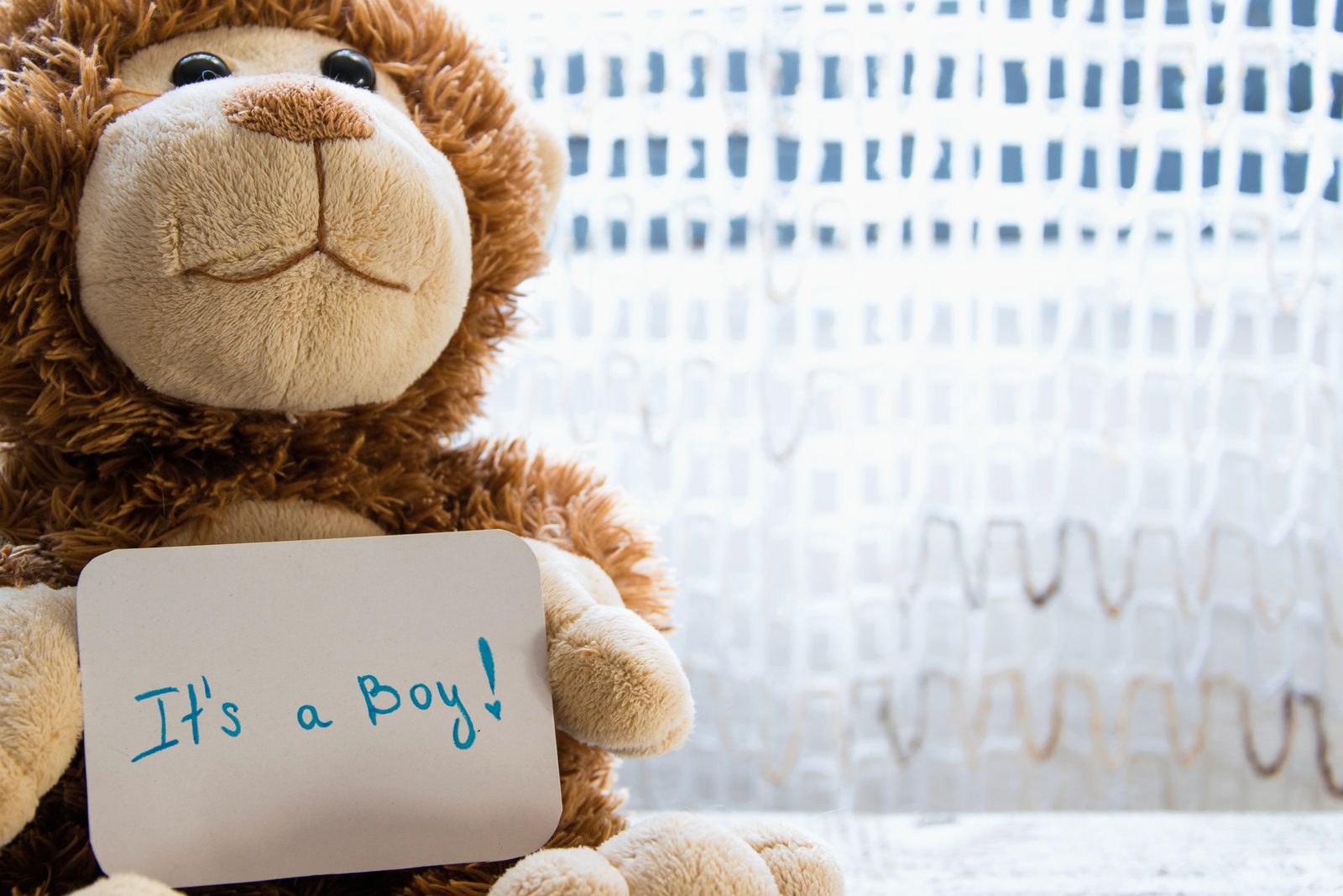 A teddy bear holding a card that reads It's a Boy!